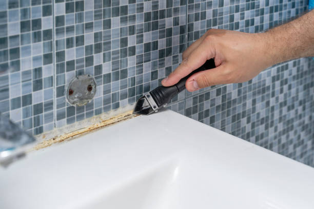 Best Black Mold Removal  in Timberville, VA